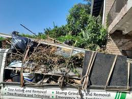 Best Appliance Removal  in Mogul, NV