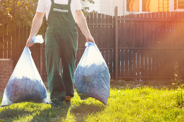 Trusted Mogul, NV Junk Removal Services Experts